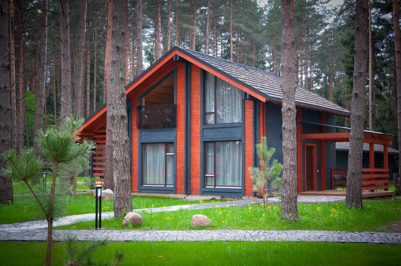 Шишки Zagorshchyna Quarto foto